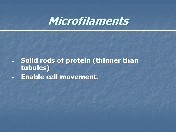 Microfilaments • • Solid rods of protein (thinner than tubules) Enable cell movement. 