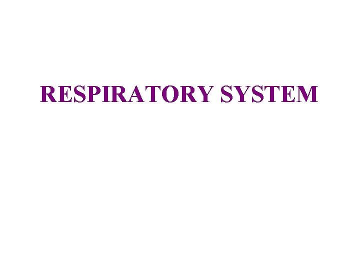 RESPIRATORY SYSTEM 