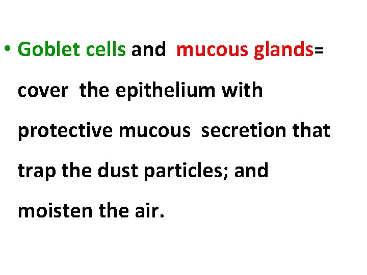  • Goblet cells and mucous glands= cover the epithelium with protective mucous secretion
