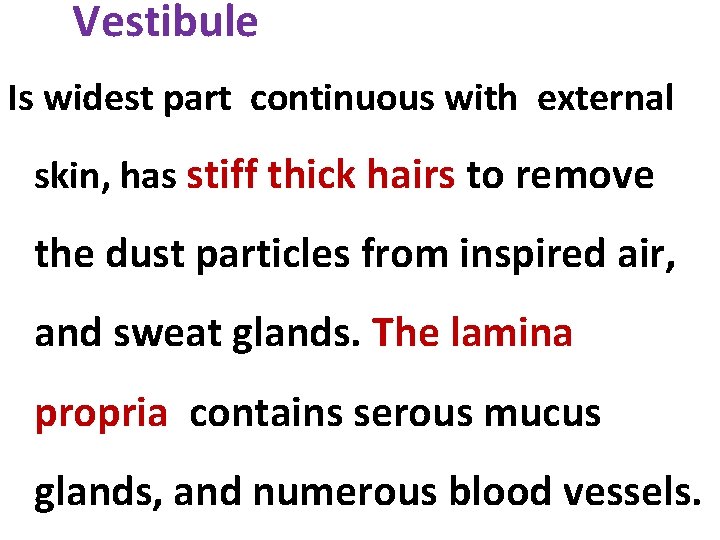 Vestibule Is widest part continuous with external skin, has stiff thick hairs to remove