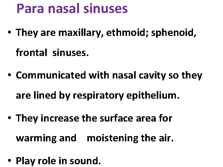 Para nasal sinuses • They are maxillary, ethmoid; sphenoid, frontal sinuses. • Communicated with