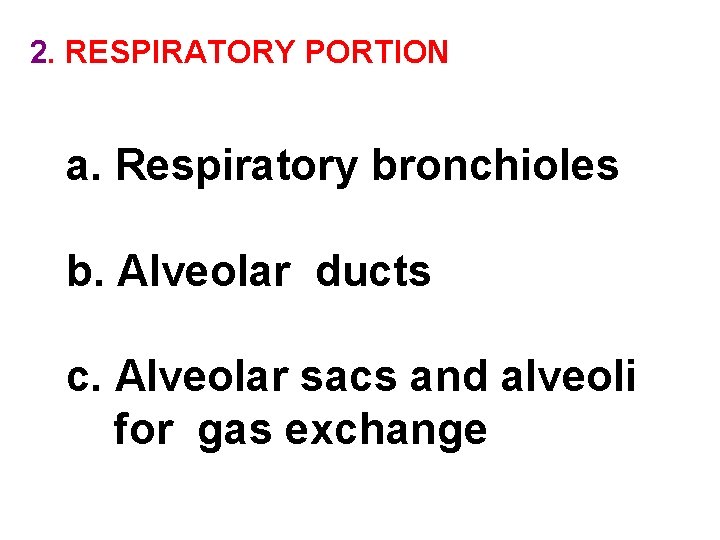 2. RESPIRATORY PORTION a. Respiratory bronchioles b. Alveolar ducts c. Alveolar sacs and alveoli