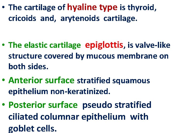  • The cartilage of hyaline type is thyroid, cricoids and, arytenoids cartilage. •