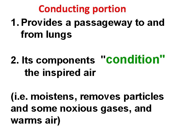 Conducting portion 1. Provides a passageway to and from lungs 2. Its components "condition"