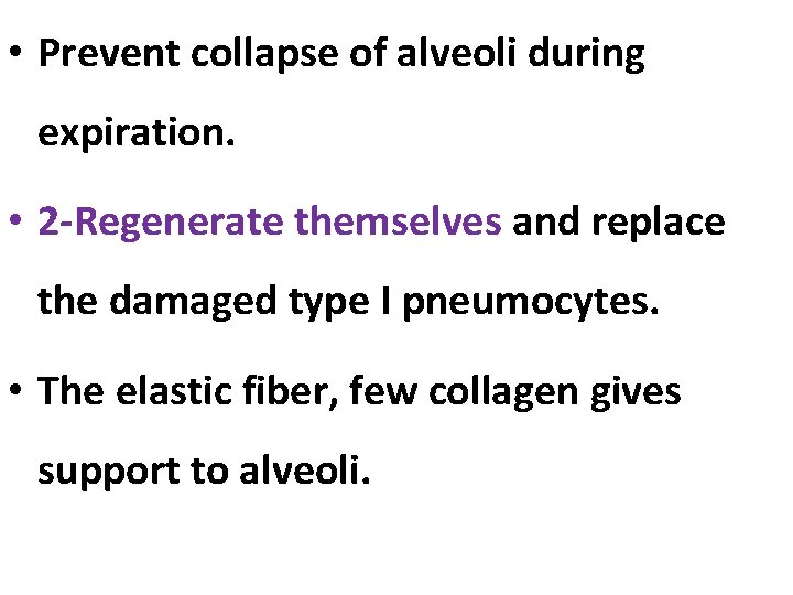  • Prevent collapse of alveoli during expiration. • 2 -Regenerate themselves and replace