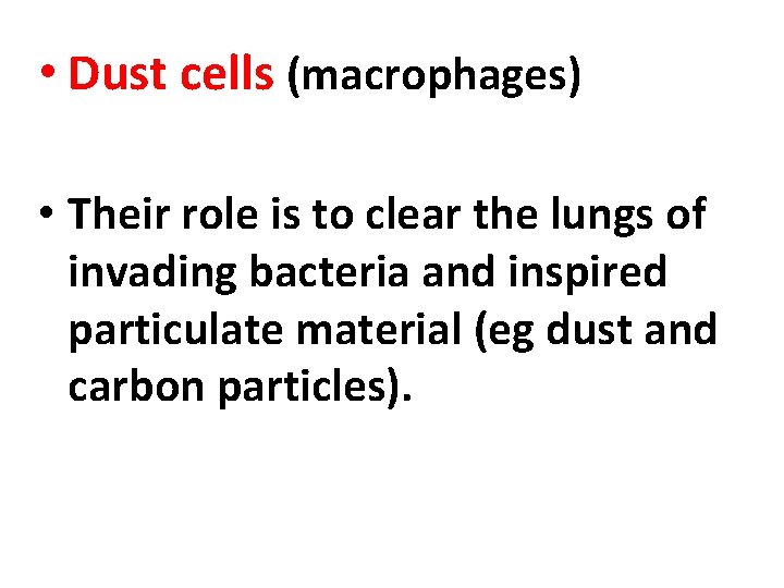  • Dust cells (macrophages) • Their role is to clear the lungs of