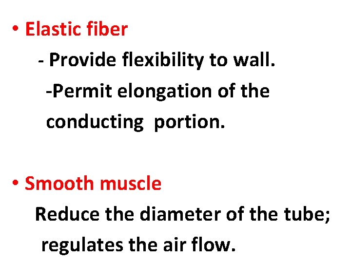  • Elastic fiber - Provide flexibility to wall. -Permit elongation of the conducting