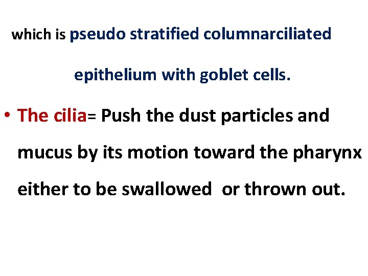 which is pseudo stratified columnarciliated epithelium with goblet cells. • The cilia= Push the