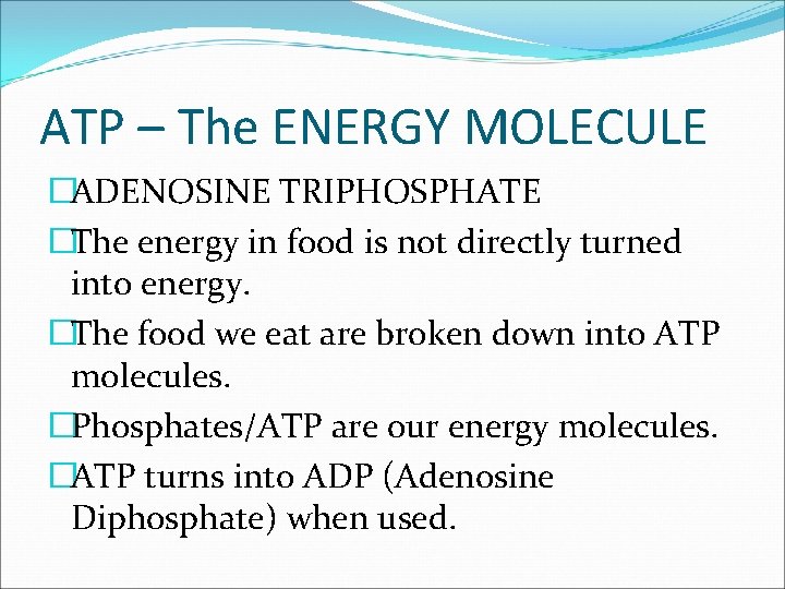 ATP – The ENERGY MOLECULE �ADENOSINE TRIPHOSPHATE �The energy in food is not directly