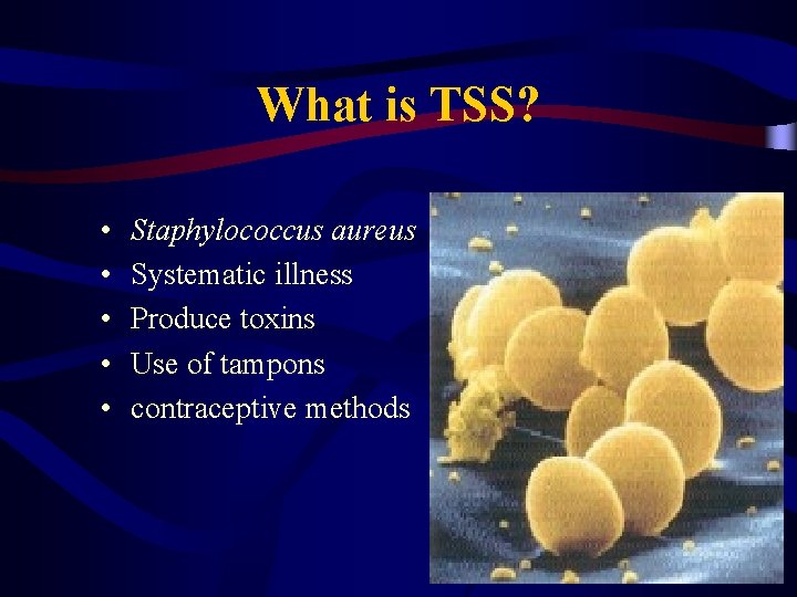 What is TSS? • • • Staphylococcus aureus Systematic illness Produce toxins Use of