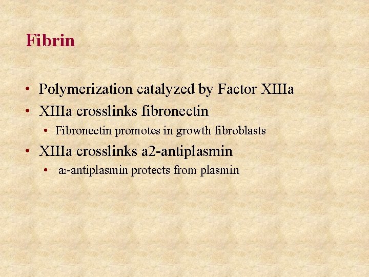 Fibrin • Polymerization catalyzed by Factor XIIIa • XIIIa crosslinks fibronectin • Fibronectin promotes