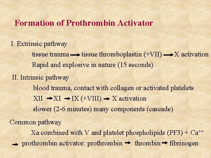 Formation of Prothrombin Activator I. Extrinsic pathway tissue trauma tissue thromboplastin (+VII) Rapid and