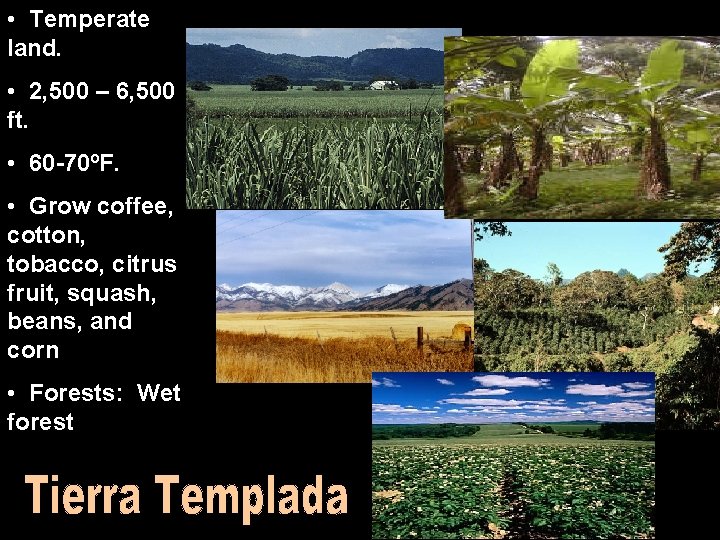  • Temperate land. • 2, 500 – 6, 500 ft. • 60 -70ºF.