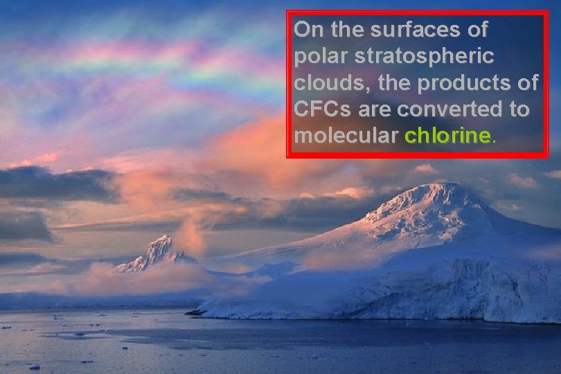 On the surfaces of polar stratospheric clouds, the products of CFCs are converted to