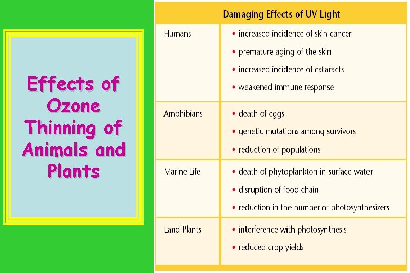 Effects of Ozone Thinning of Animals and Plants 