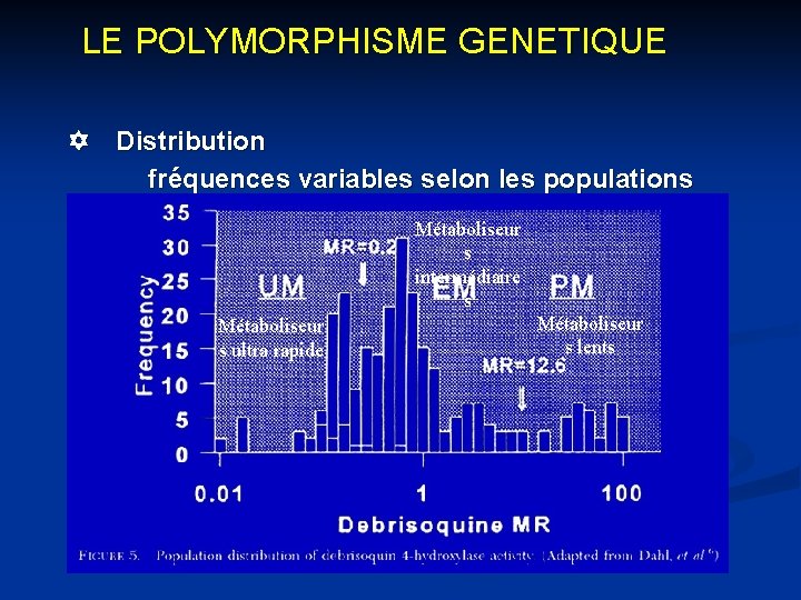 LE POLYMORPHISME GENETIQUE Y Distribution fréquences variables selon les populations Métaboliseur s intermédiaire s