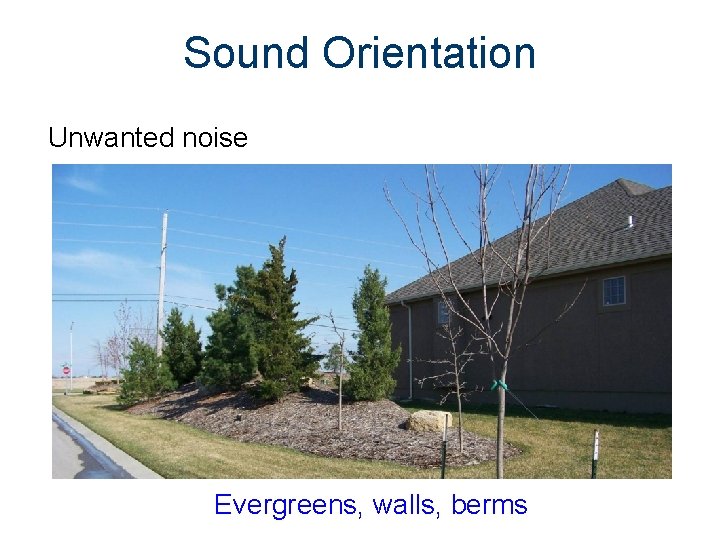 Sound Orientation Unwanted noise Evergreens, walls, berms 