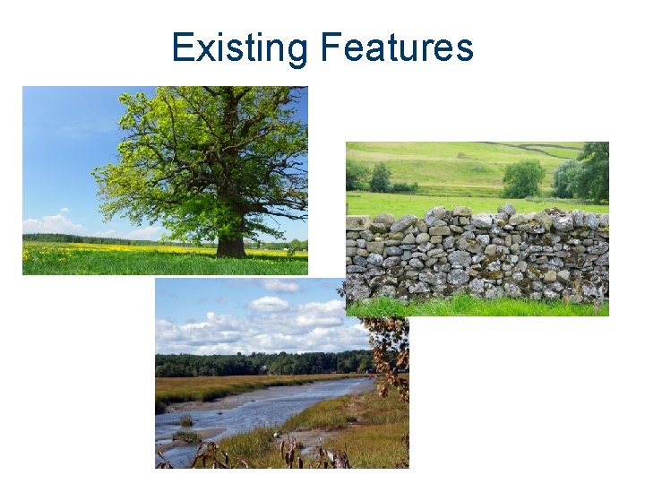 Existing Features 
