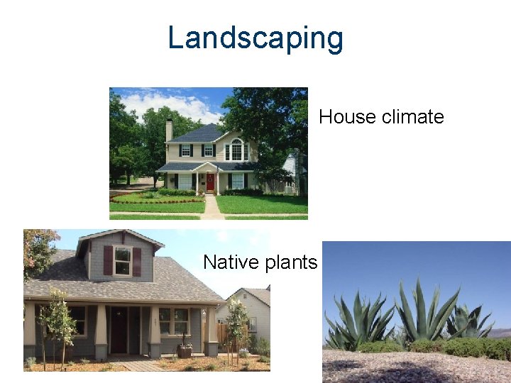 Landscaping House climate Native plants 