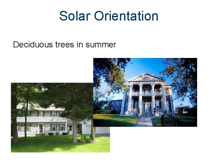 Solar Orientation Deciduous trees in summer 