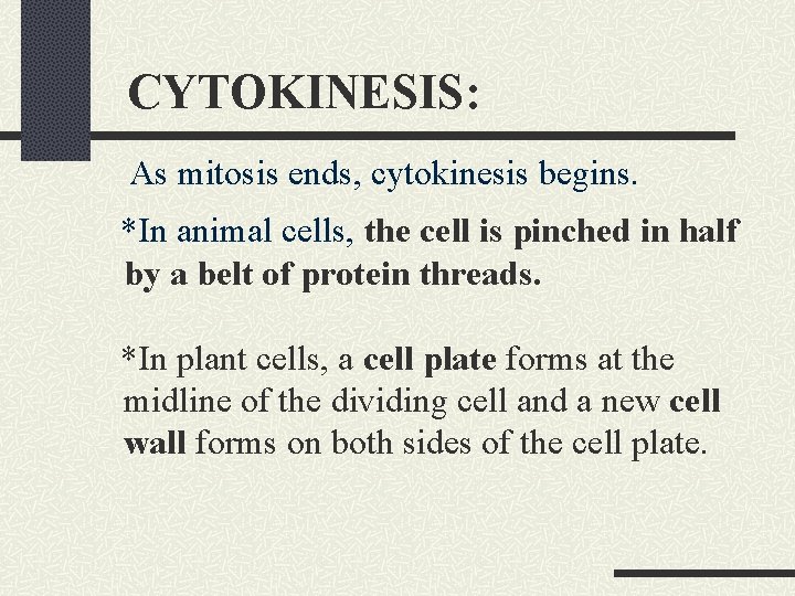 CYTOKINESIS: As mitosis ends, cytokinesis begins. *In animal cells, the cell is pinched in