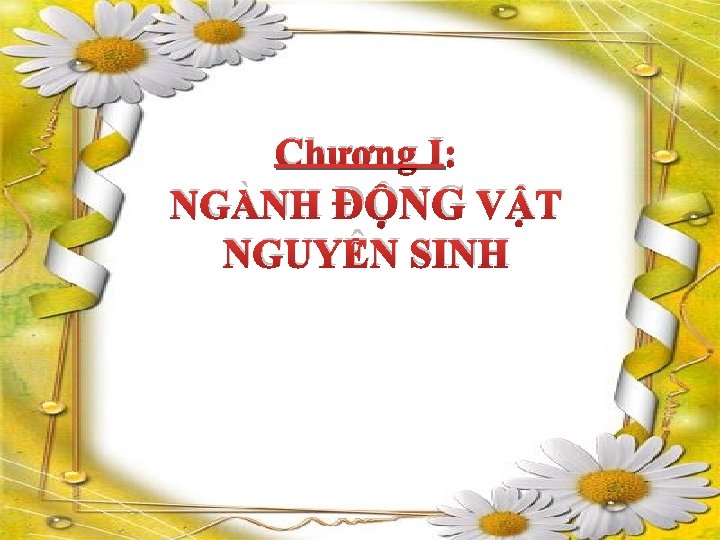 Chương I: NGÀNH ĐỘNG VẬT NGUYÊN SINH 