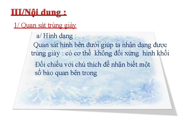 III/Nội dung : 1/ Quan sát trùng giày a/ Hình dạng : Quan sát