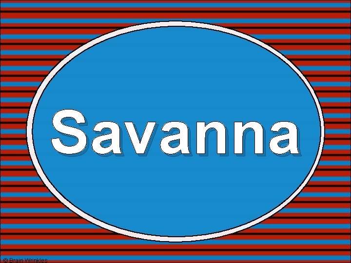 Savanna © Brain Wrinkles 