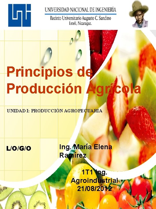 Principios de Producción Agrícola UNIDAD I: PRODUCCIÓN AGROPECUARIA L/O/G/O Ing. María Elena Ramírez 1