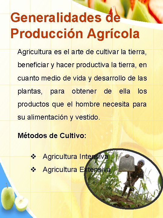 Generalidades de Producción Agrícola Agricultura es el arte de cultivar la tierra, beneficiar y