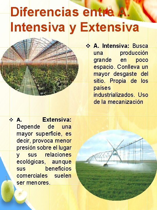 Diferencias entre A. Intensiva y Extensiva v A. Intensiva: Busca una producción grande en