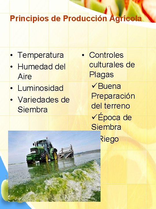 Principios de Producción Agrícola • Temperatura • Humedad del Aire • Luminosidad • Variedades