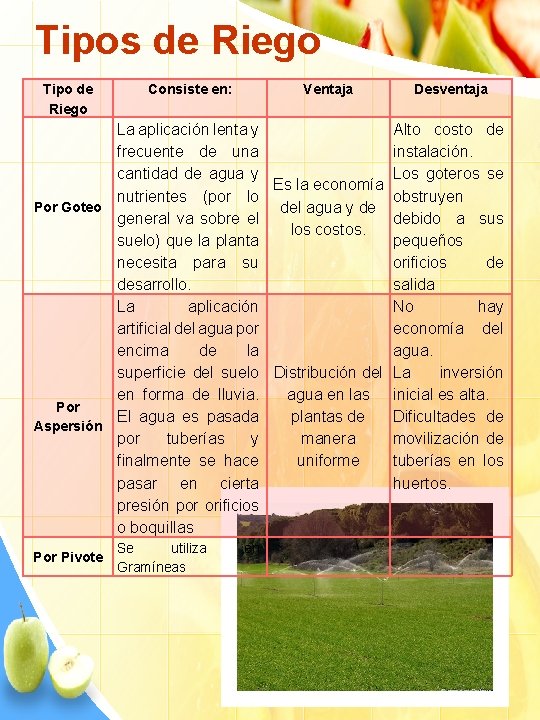 Tipos de Riego Tipo de Riego Consiste en: Ventaja La aplicación lenta y frecuente