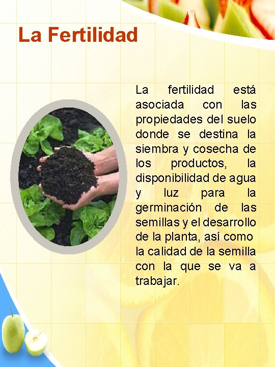 La Fertilidad La fertilidad está asociada con las propiedades del suelo donde se destina