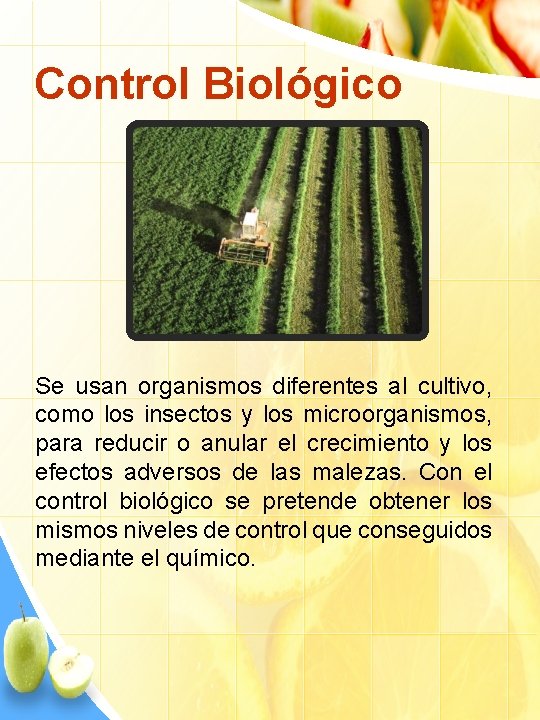 Control Biológico Se usan organismos diferentes al cultivo, como los insectos y los microorganismos,