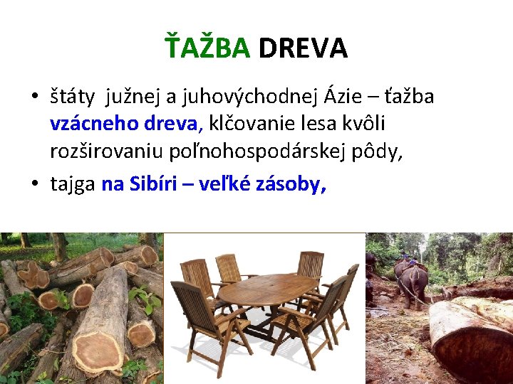 ŤAŽBA DREVA • štáty južnej a juhovýchodnej Ázie – ťažba vzácneho dreva, klčovanie lesa