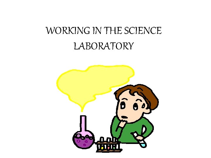 WORKING IN THE SCIENCE LABORATORY 
