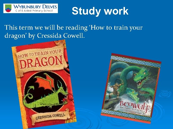 Study work This term we will be reading ‘How to train your dragon’ by