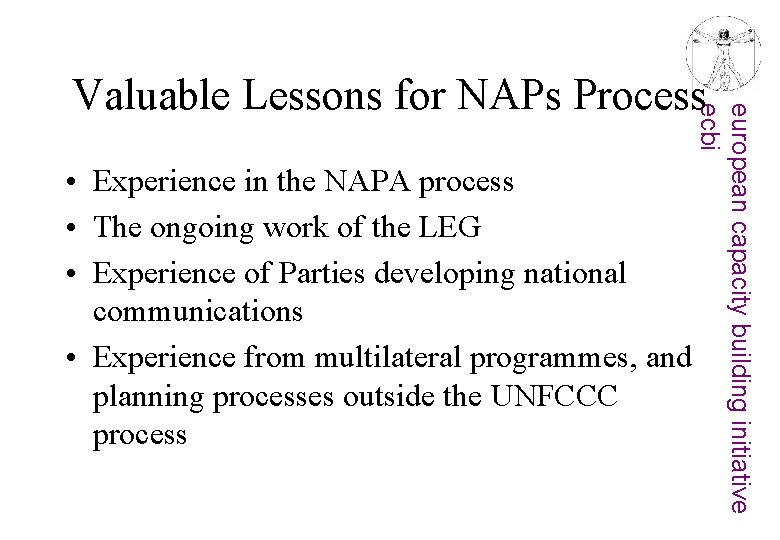  • Experience in the NAPA process • The ongoing work of the LEG
