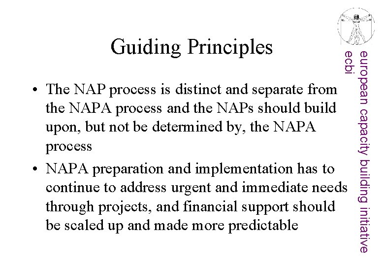 european capacity building initiative ecbi Guiding Principles • The NAP process is distinct and
