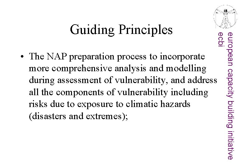 european capacity building initiative ecbi Guiding Principles • The NAP preparation process to incorporate