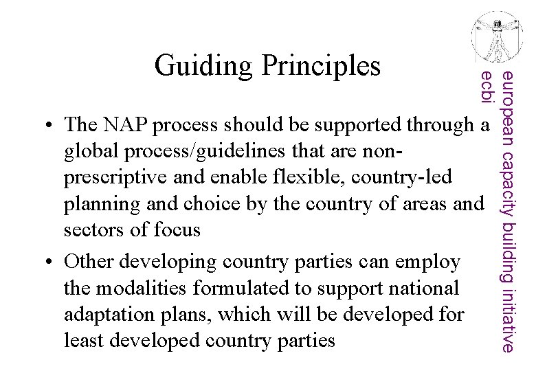 european capacity building initiative ecbi Guiding Principles • The NAP process should be supported