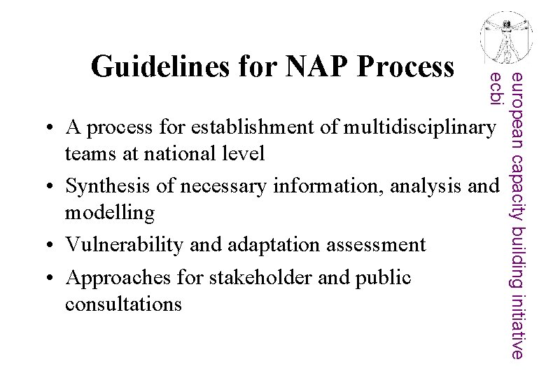 european capacity building initiative ecbi Guidelines for NAP Process • A process for establishment
