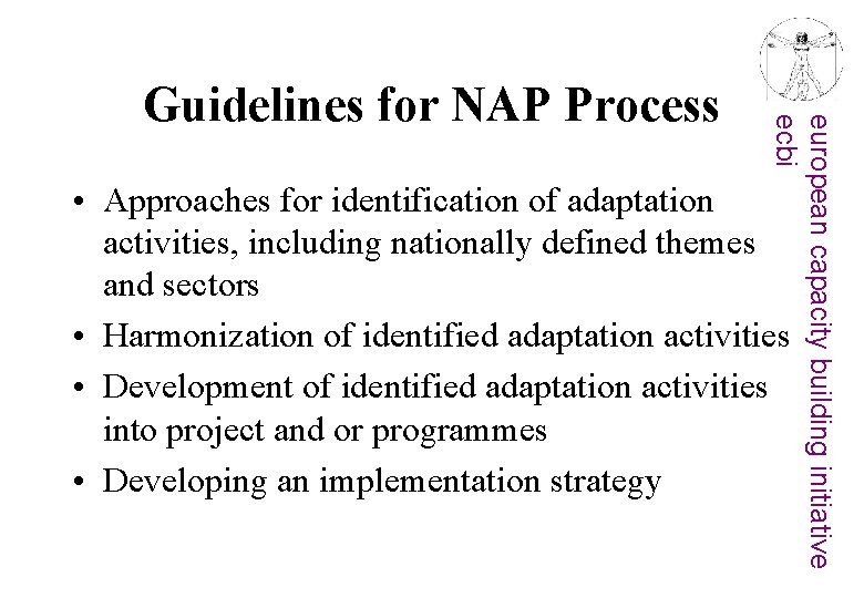 european capacity building initiative ecbi Guidelines for NAP Process • Approaches for identification of