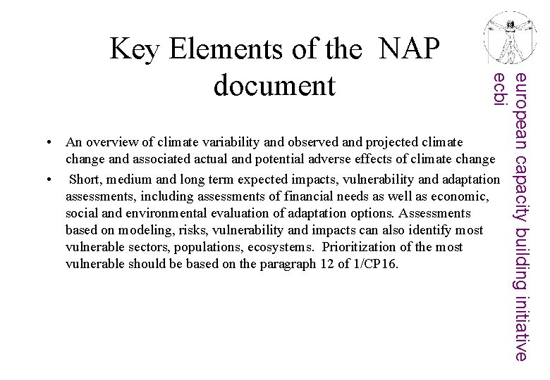 european capacity building initiative ecbi Key Elements of the NAP document • An overview