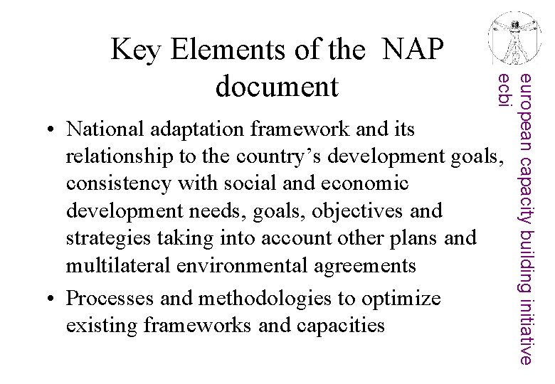 european capacity building initiative ecbi Key Elements of the NAP document • National adaptation