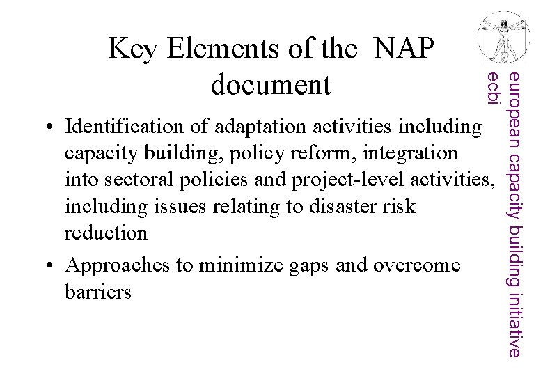 european capacity building initiative ecbi Key Elements of the NAP document • Identification of