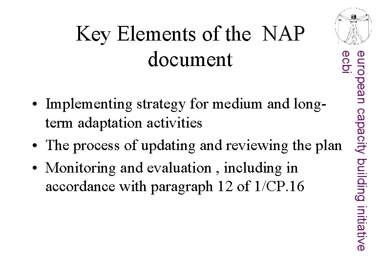 european capacity building initiative ecbi Key Elements of the NAP document • Implementing strategy