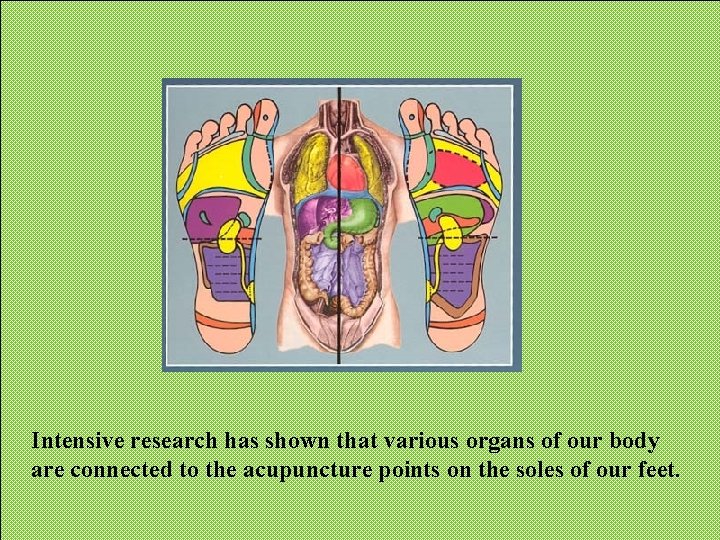 Intensive research has shown that various organs of our body are connected to the Intensive research has shown that various organs of our body are connected to the
