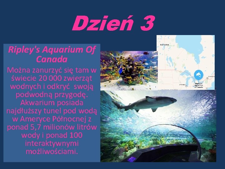 Dzień 3 Ripley's Aquarium Of Canada Można zanurzyć się tam w świecie 20 000